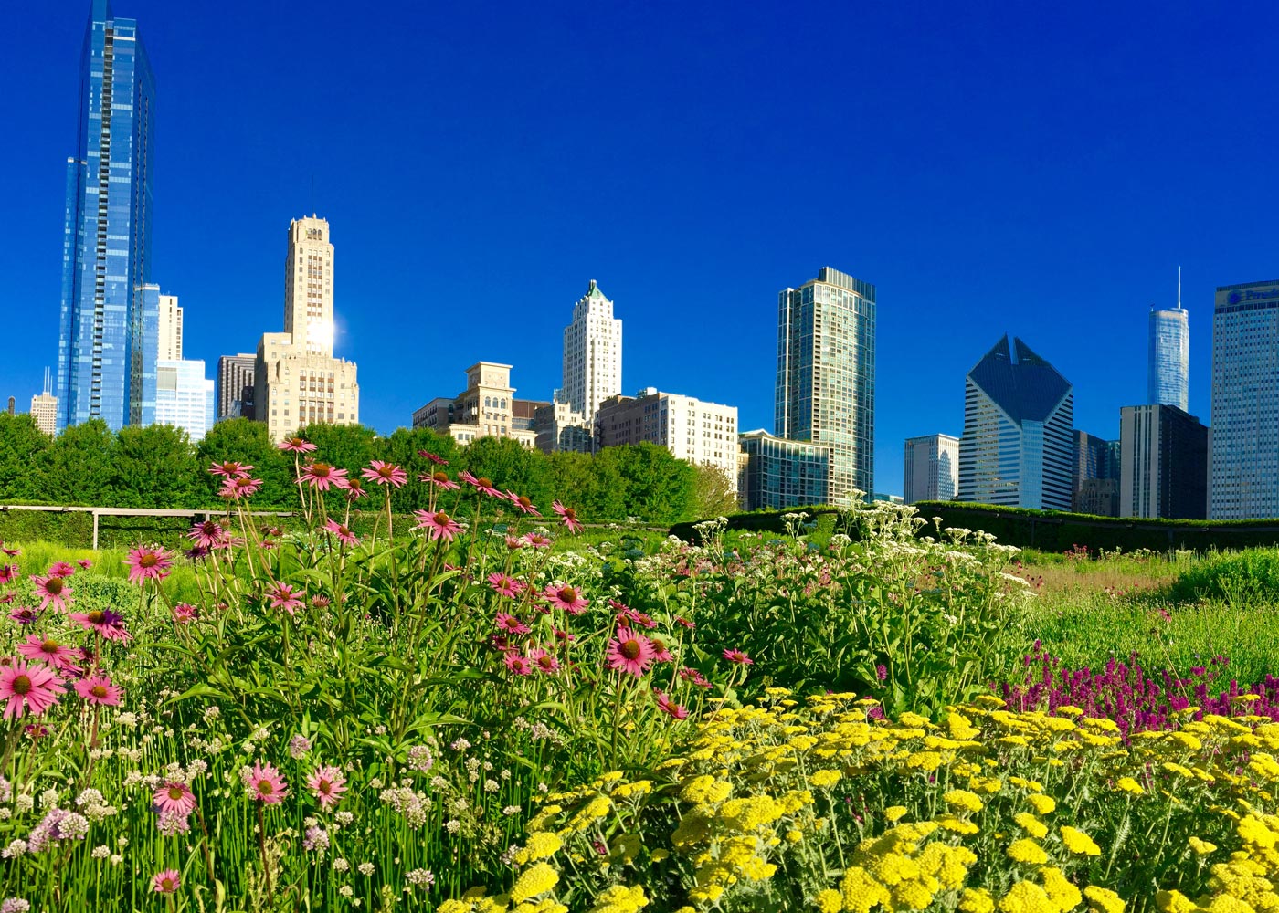 The Lurie Garden At Millennium Park Landscape Perform - vrogue.co